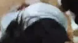 اللسان الفوضوي